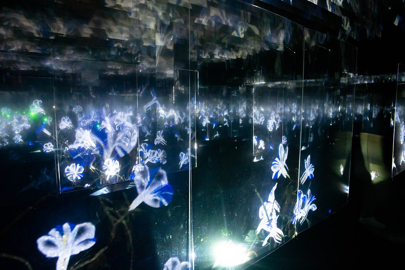 digital art showing flowers and nectar plants.