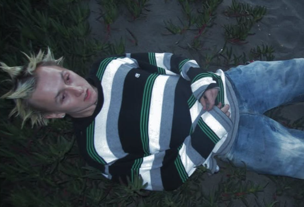 ZincXD is laying on the beach and surrounded by grass.